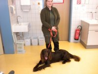 2019-02-14 Vortrag Herta Reich Gym